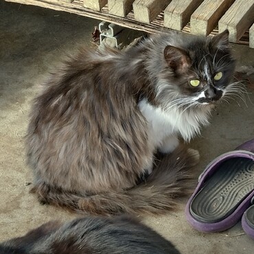 呼んだら、振り返ってくれました