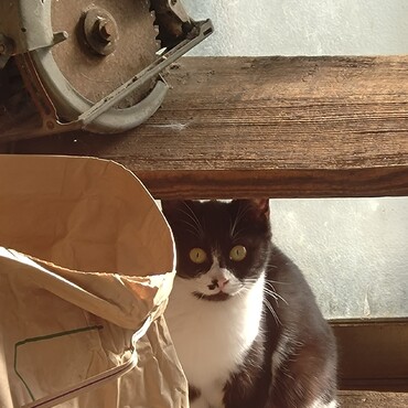 来るな！と言っているようです