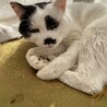 御歳16歳の姫様