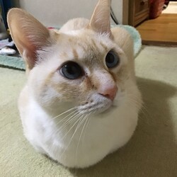 １月も終わりますね