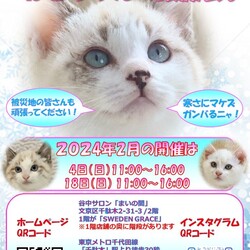 しあわせにゃんこ猫ちゃんの譲渡会ＩＮ谷根千「まいの間」