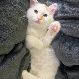 3/10幕張ෆ⃛人が大好きෆ⃛おこめくん