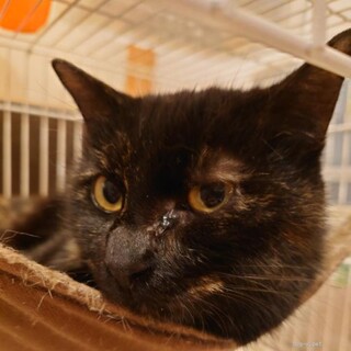 甘えん坊な梨乃(りの)ちゃん♪