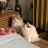 何を見ているのでしょうか…。
