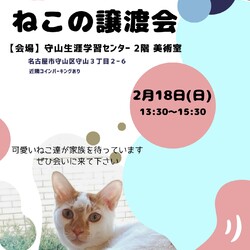ねこの譲渡会in守山生涯学習センター