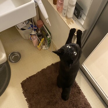 の写真