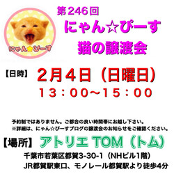 にゃん☆ぴーす猫の譲渡会【都賀･アトリエTOM】