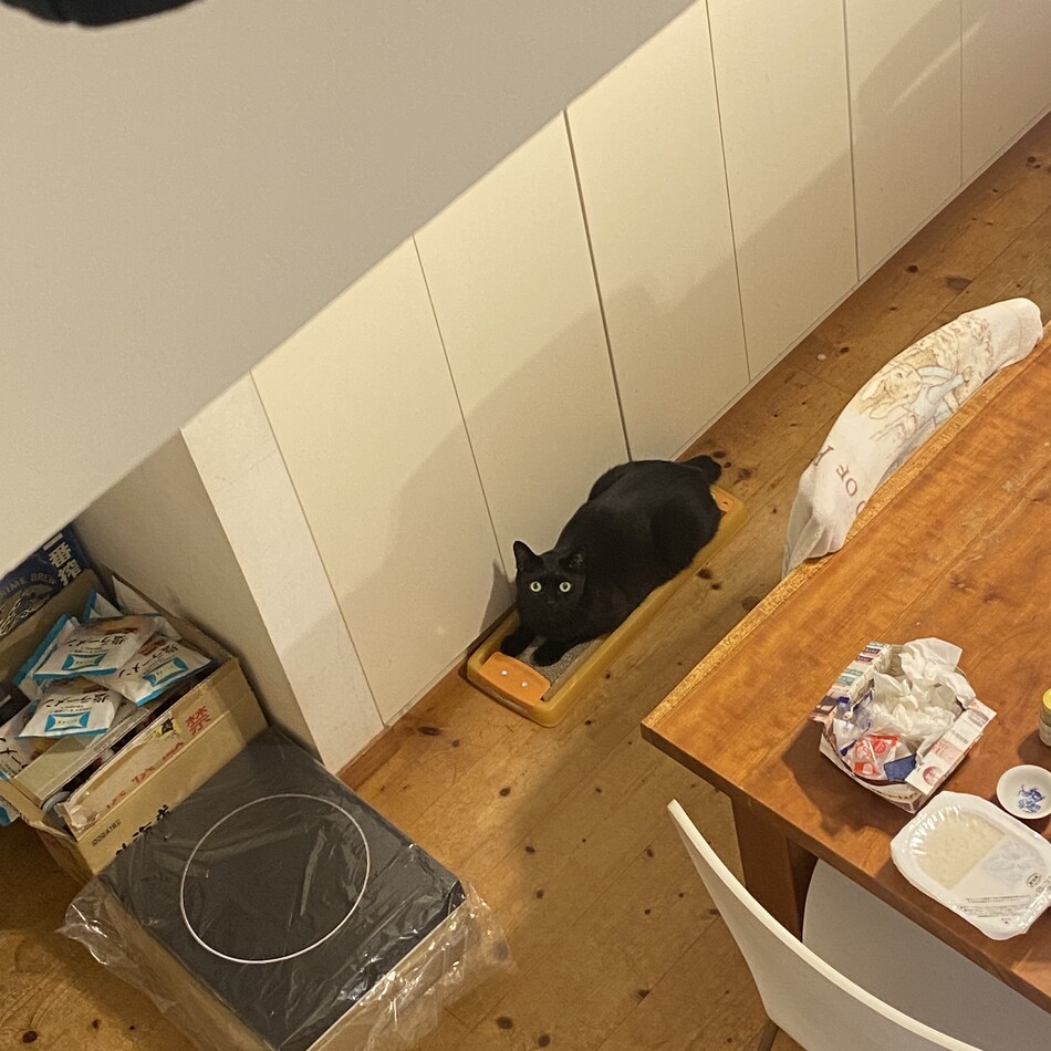 ポポのカバー写真