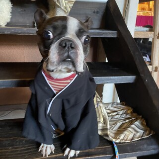 かわいい男の子です！