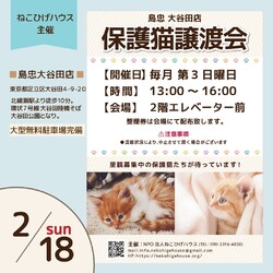 子猫～シニア猫❤足立区島忠大谷田店(千代田線北綾瀬駅から徒歩10分)