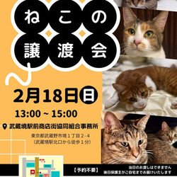 むさしの地域猫の会　譲渡会