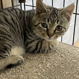 ヤンチャで可愛い男の子です♪募集再開です！