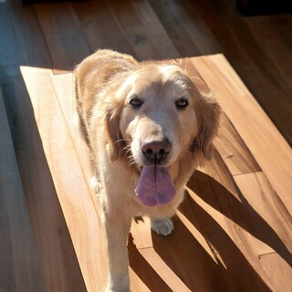 素晴らしいご夫婦様宅に決まりました♡