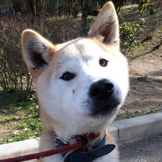 ひとりぼっちで、てんかん発作と闘っている雪斗くん