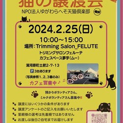 第８回 猫の譲渡会