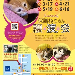 にゃんクルー保護猫さん譲渡会