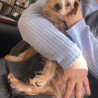 ３本足でも負けないライト君です。