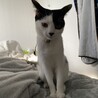 ずっしりコロコロな男の子　レト君 サムネイル2
