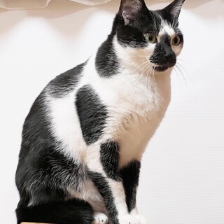 【募集停止中】