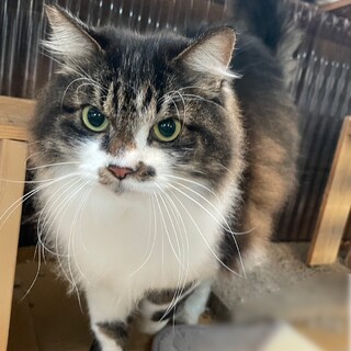 家族として大切にしてくださる方