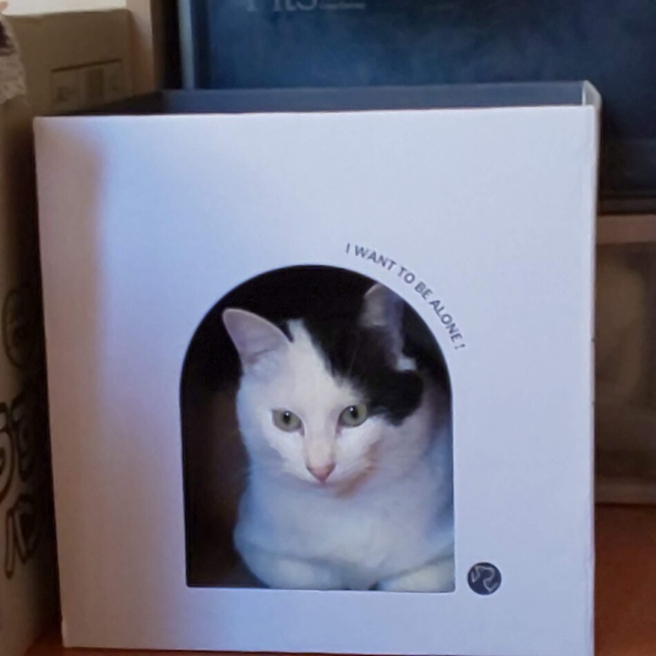 ビビのカバー写真