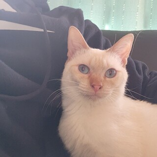 遊ぶの大好き きょうちゃん