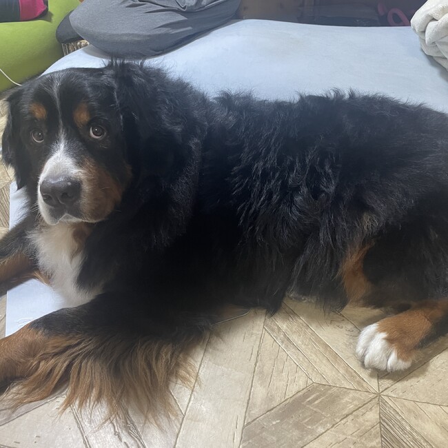 いはちるのカバー写真