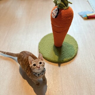 かわいい♡かわいい♡のび太くん