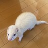 ヒロみ