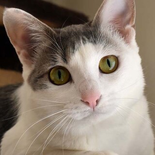 前髪切るの失敗して困っちゃった･･･な、なるちゃん