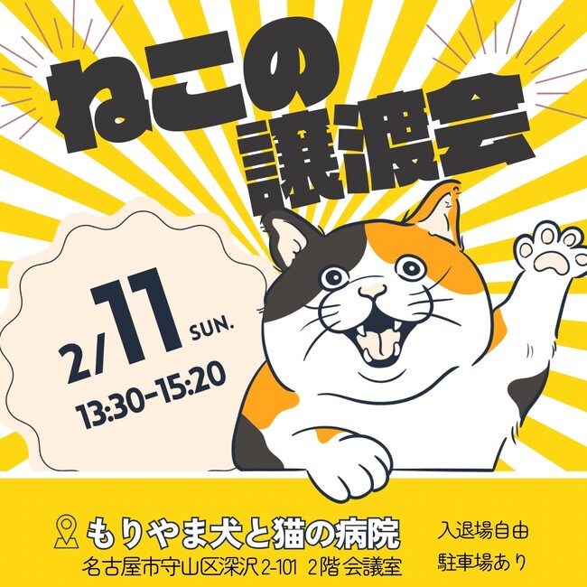 DOTS MEOW MORIYAMAのカバー写真