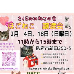 ほごねこ譲渡会