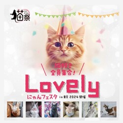 ねこにすとinLovelyにゃんフェスタ 東京2024