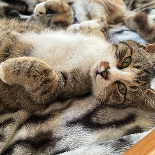 人馴ればつぐん！甘えん坊男の子♡