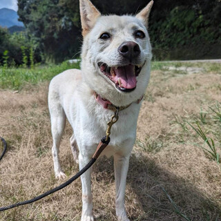 きれいなユーリちゃん