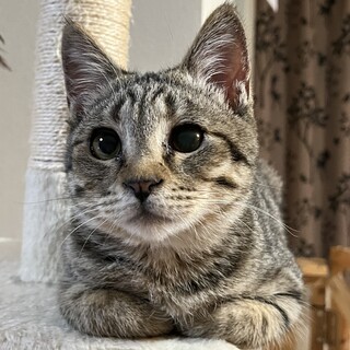 調整中のため、一旦ストップさせていただきます。