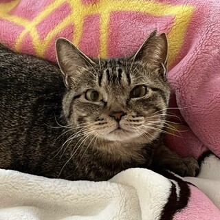 大人しい女の子 お留守番も◯♡光ちゃん