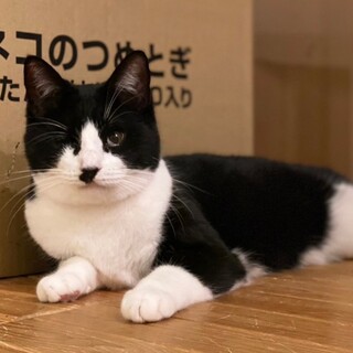 甘えん坊　性格良し　いのりちゃん♪