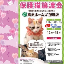 2月4日（日）島忠ホームズ所沢店譲渡会！