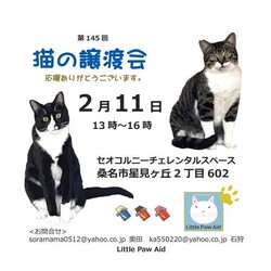 三重県桑名市2月11日(日)リトルパウエイド譲渡会