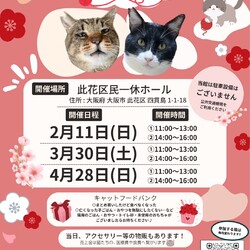 君と猫の赤い糸譲渡会