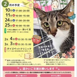 保護猫の譲渡会（ねこの歩添道さんの主催の譲渡会）