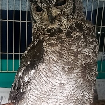 治療も終わり某所テーマパークへ