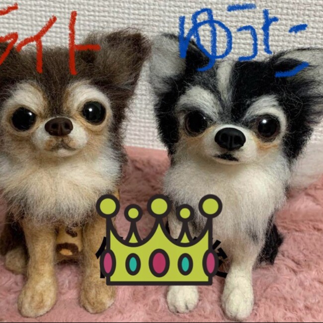 まやたそ16のカバー写真