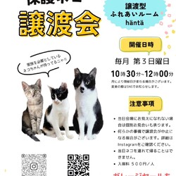 ねこカフェin小さな譲渡会