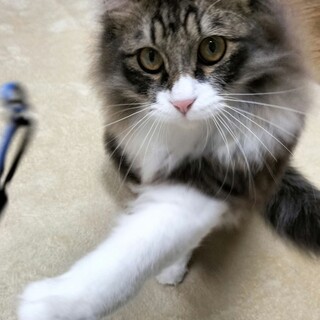 新たなご家族ができました♪