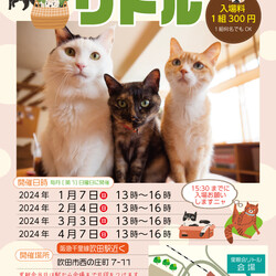 【大阪吹田】ネコの里親会リトル