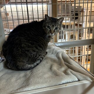 可愛いツムギくん