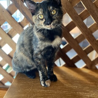 ♦︎こまち♦︎お米チーム