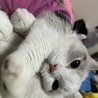 まやたそ16
